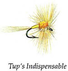 fly