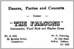 falcons1