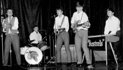kestrels2