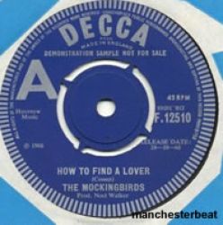 mockingbirds_find_lover