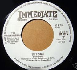 mockingbirds_skitskat