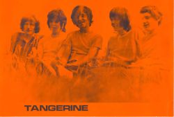 tangerine18