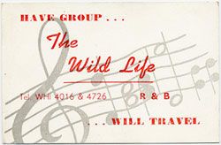 wild_life_card