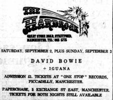 bowie